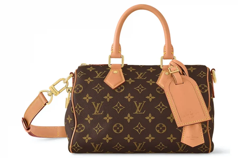 Louis Vuitton Speedy